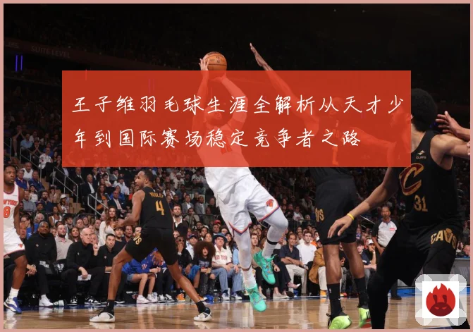 王子维羽毛球生涯全解析从天才少年到国际赛场稳定竞争者之路