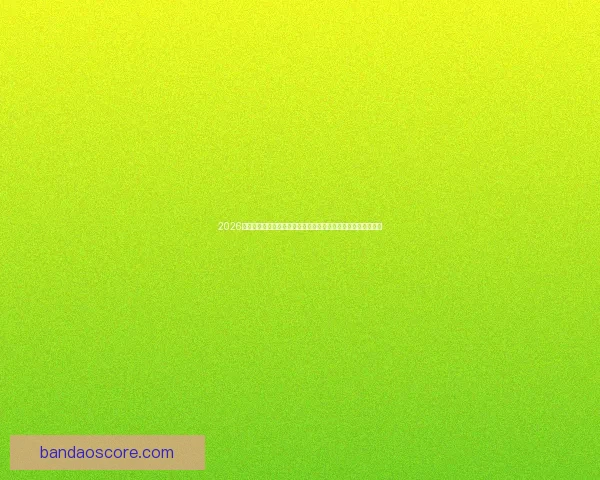 2026世界杯电视直播全方位指南：各大平台观看方法与精彩赛事预告