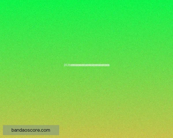 2026世界杯投注分析：热门球队、赔率走势及最佳投注策略全解析