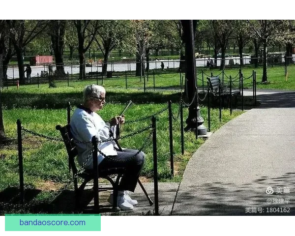 半岛APP官方下载入口最新版本安全稳定体验指南